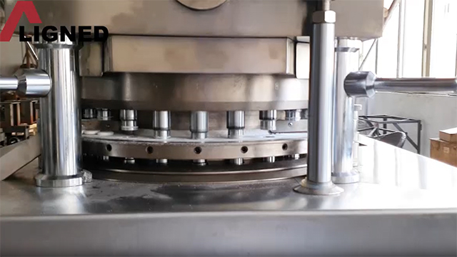 Rotary Tablet Press, ZPW-23