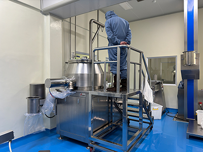 High Shear Granulator